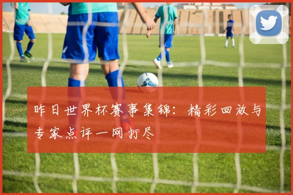 昨日世界杯赛事集锦：精彩回放与专家点评一网打尽