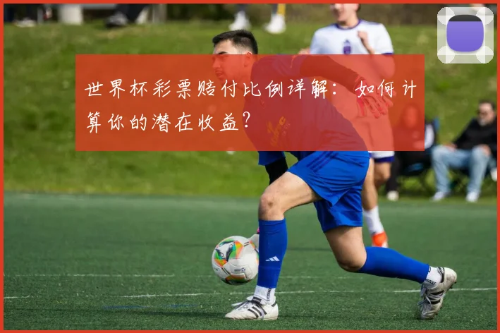 世界杯彩票赔付比例详解：如何计算你的潜在收益？