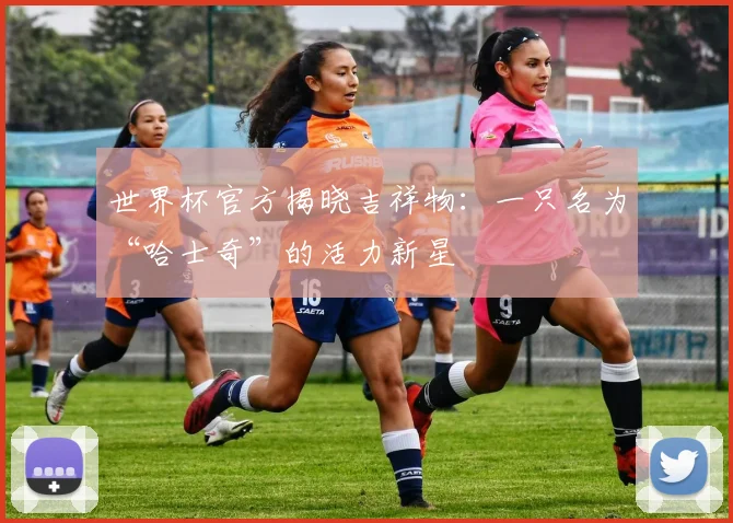 世界杯官方揭晓吉祥物：一只名为“哈士奇”的活力新星