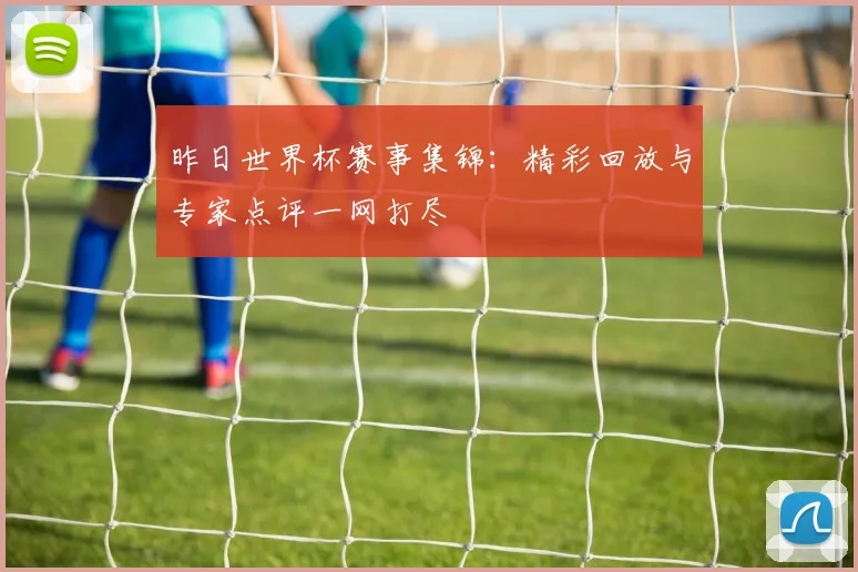 昨日世界杯赛事集锦:精彩回放与专家点评一网打尽