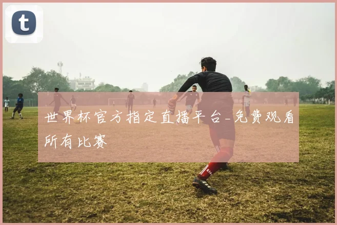 世界杯官方指定直播平台_免费观看所有比赛