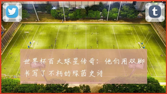 世界杯百大球星传奇：他们用双脚书写了不朽的绿茵史诗