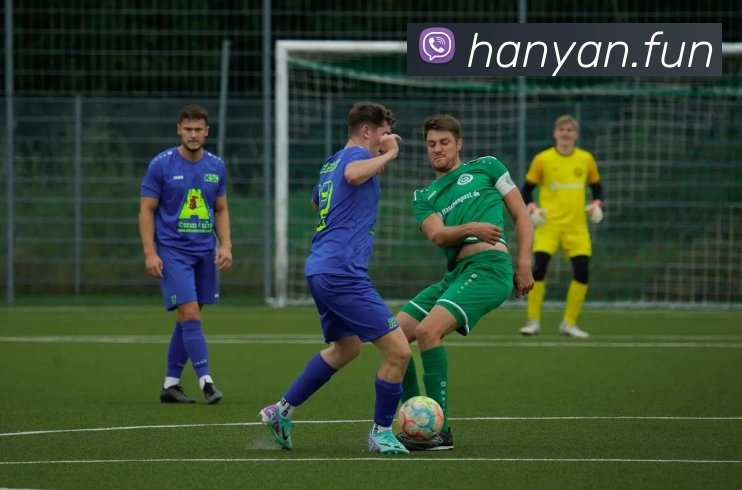 leyu乐鱼中国官方网站品牌故事